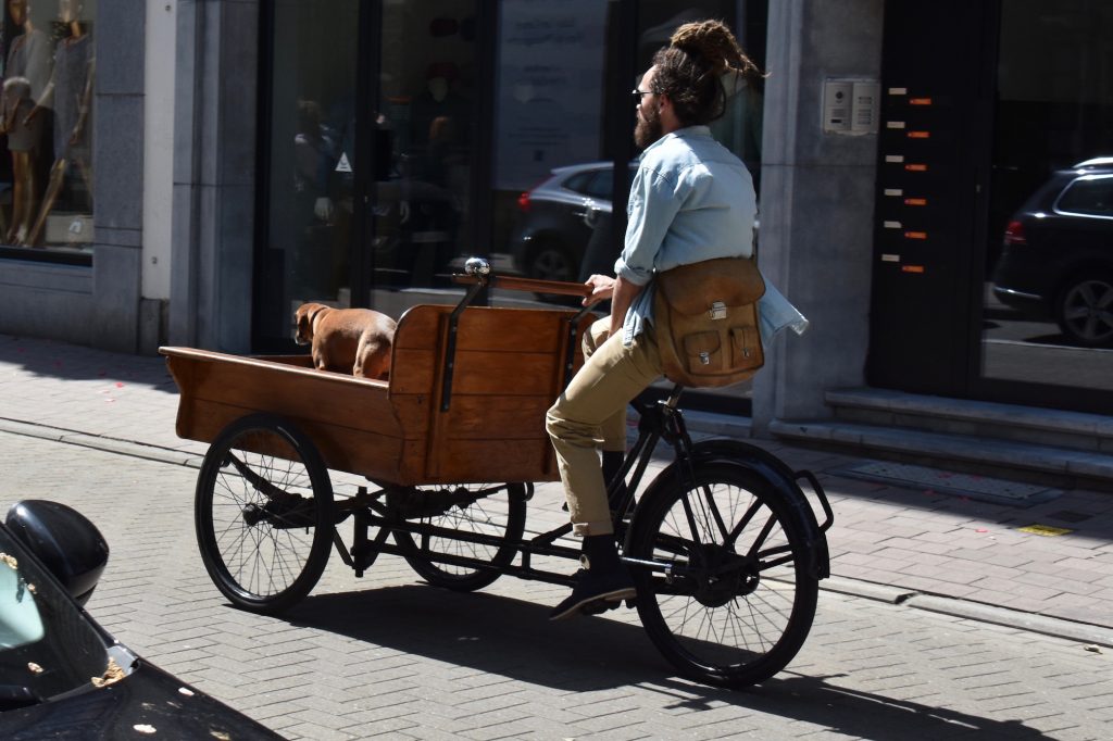 man and dog on bike